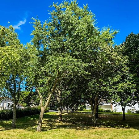T3 Moderne Avec Balcon Terrasse Et Parking Gratuit Appartement Niort Buitenkant foto
